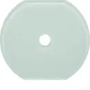 Hager WTD7672GWG Glas-Mittelplatte Schalter Serie Glas...