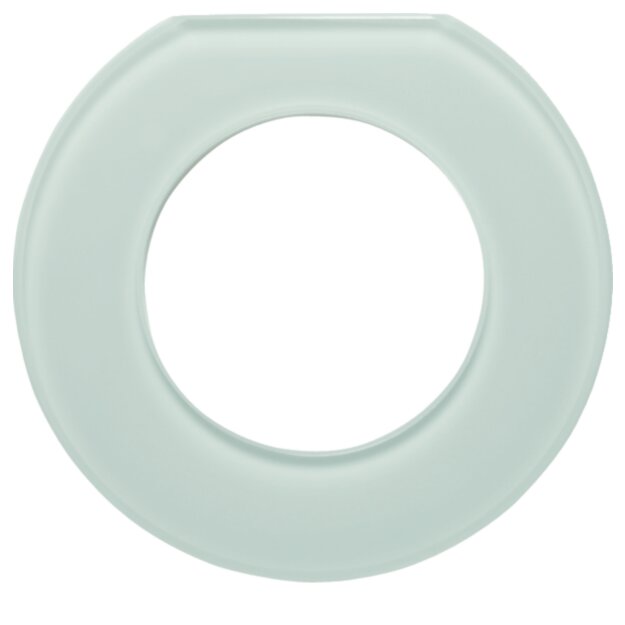 Hager WTD7173GWG Glasendrahmen 1-fach Serie Glas...