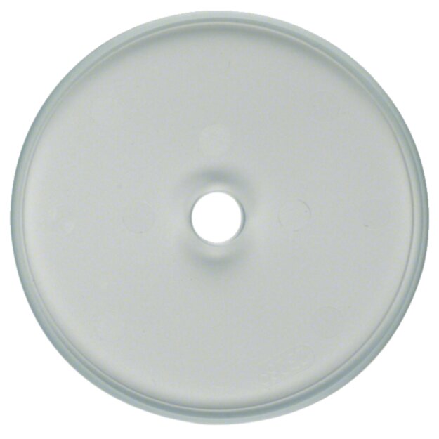 Hager WTD7100GT Glasplatte Schalter Serie Glas klar