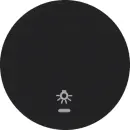 Hager WLW1332BG Wippe mit klar Linse u Sym Licht R.Cl...