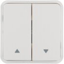 Hager WNT982B Wippe 2-fach Tast BA Sec Pfeile AP W.1...