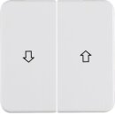 Hager WWW2001PW Wippe 2-fach Aufdruck Pfeil WG UP IP44...