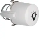 Hager WTF5285WG1 Tasterknopf Licht E10 1930/Glas...