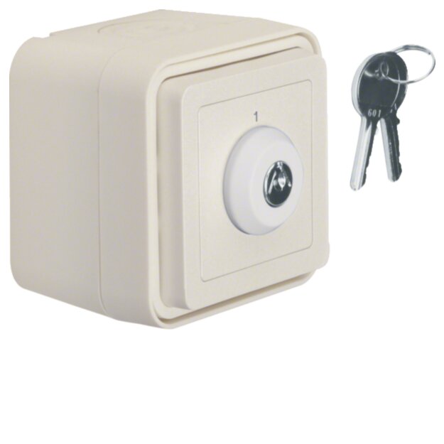 Hager WNC035B Schl&uuml;ssel-Schalter AP Aufdruck 1 W.1...