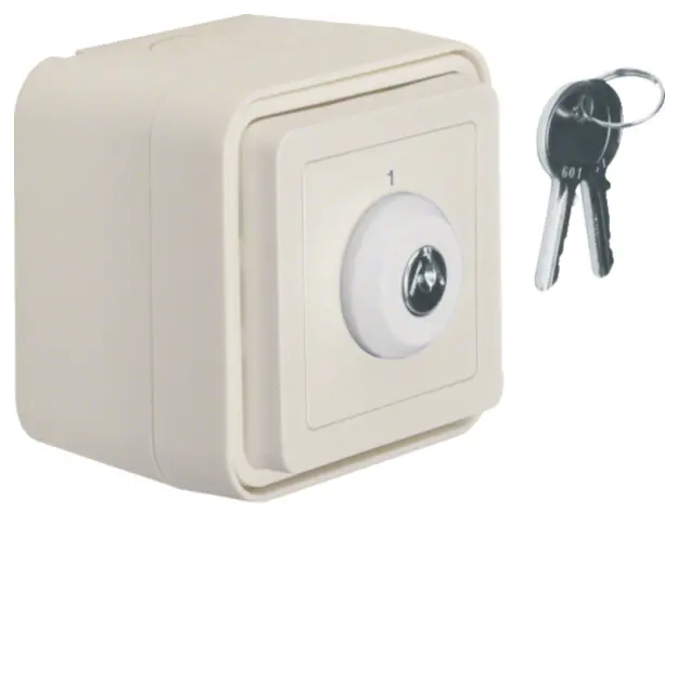 Hager WNC035B Schlüssel-Schalter AP Aufdruck 1 W.1 Polarweiß