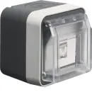 Hager WNC226 UAE Steckdose Netzwerkdose 8-polig geschirmt...