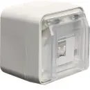 Hager WNC226B UAE Steckdose 8pol geschirmt Kat.6 AP W.1...