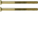 Hager WZA9092 Zwei Loch Schraube mit Linse System TS