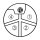 Wago 756-3511/050-050 Power-Leitung M12L-Buchse axial 5-polig