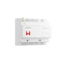 GoodWe LEM0000-01-00P EzManager3000 KI-gestütztes...