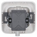 Busch-Jaeger Reflex SI Set: 1x RKB UAE-Cat.6A iso-8/8 Up 0 mit Zentralscheibe + 2511-214 1-fach Rahmen Alpinweiß
