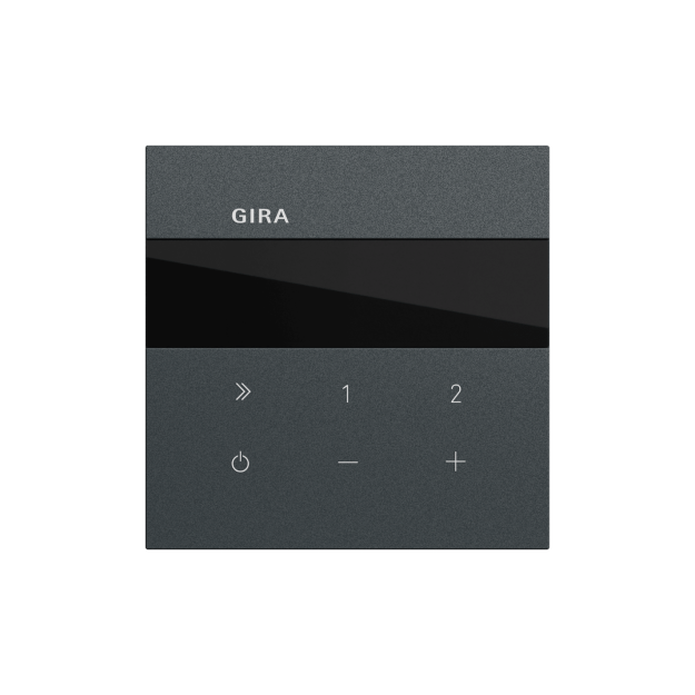 Gira 232073 UP-Radio IP System 70 Anthrazit