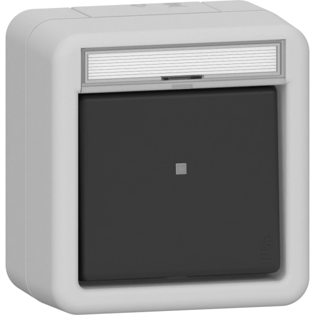 Gira 311631 Wipp-Kontroll AusWe BSF WD AP Grau