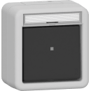 Gira 311631 Wipp-Kontroll AusWe BSF WD AP Grau