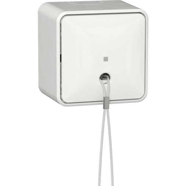 Gira 314613 Zugschalter AusWe + Montageplatte AP Reinweiß