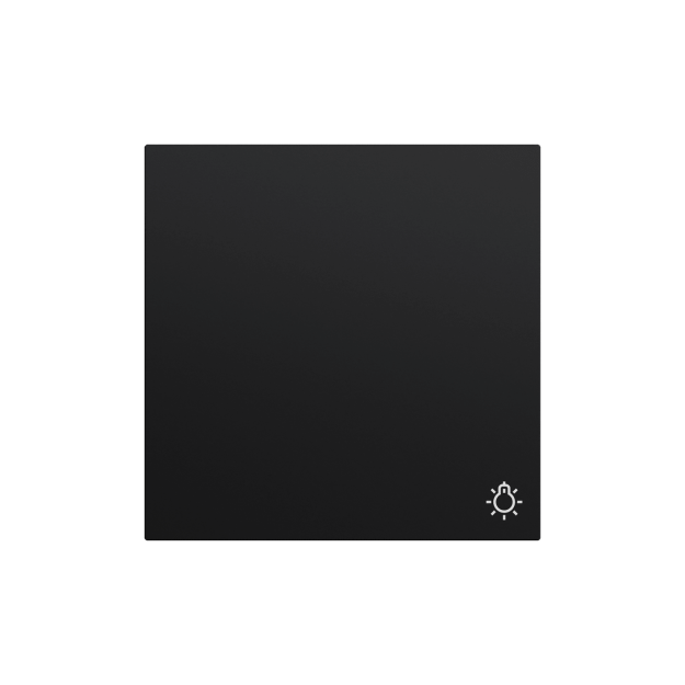 Gira 328574 Wippe Symbol Licht System 70 Schwarz matt