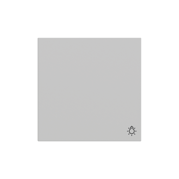 Gira 328576 Wippe Symbol Licht System 70 Grau matt
