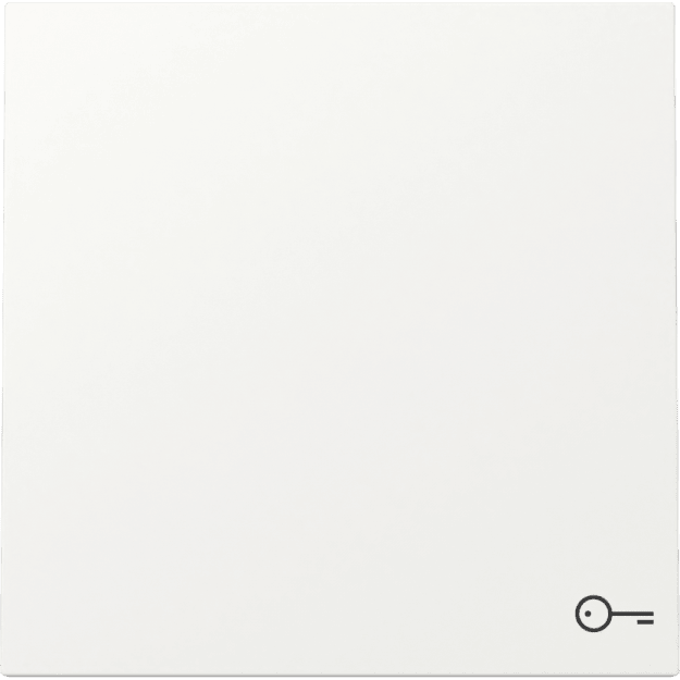 Gira 328772 Wippe Symbol Tür System 70 Reinweiß matt