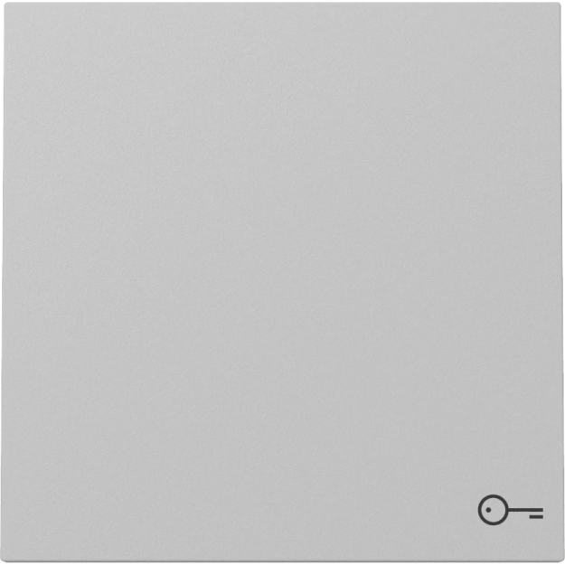 Gira 328776 Wippe Symbol Tür System 70 Grau matt