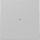 Gira 329076 Wippe Kontrollfenster System 70 Grau matt