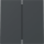 Gira 329573 Wippe 2f System 70 Anthrazit