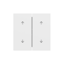 Gira 329772 Wippe 2f Pfeile System 70 Reinweiß matt