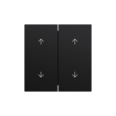 Gira 329774 Wippe 2f Pfeile System 70 Schwarz matt