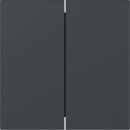 Gira 349573 Wippe 2f gerade System 70 Anthrazit