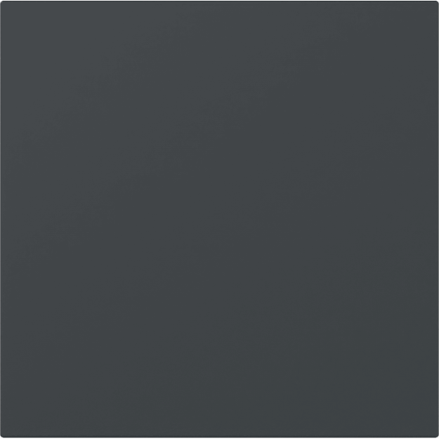 Gira 349673 Wippe gerade System 70 Anthrazit