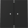 Gira 363174 Wippe 2f Kontrollfenster System 70 Schwarz matt