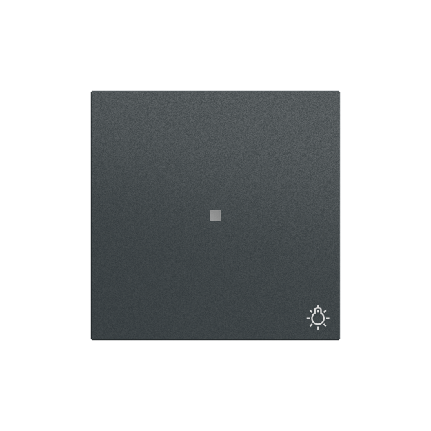 Gira 367473 Wippe Kontrollfenster + Symbol Licht System 70 Anthrazit