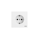 Gira 445872 SCHUKO-Steckdose Aufdruck EDV System 70...