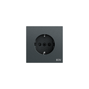 Gira 446173 SCHUKO-Steckdose Aufdruck EDV + SP System 70...