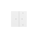 Gira 517572 Taster Wippe 2f unbedruckt/Pfeile OneKNX...