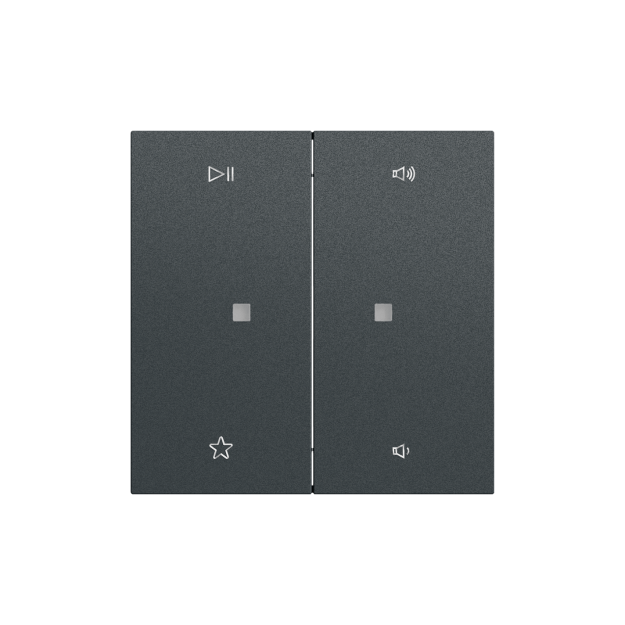 Gira 538473 Wippe 2f Audiostrg System 70 Anthrazit