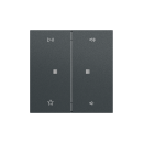 Gira 538473 Wippe 2f Audiostrg System 70 Anthrazit
