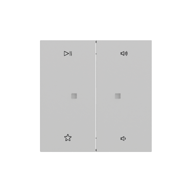 Gira 538476 Wippe 2f Audiostrg System 70 Grau matt