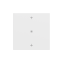 Gira 538872 Wippe 1f Pfeile Kontrollfenster System 70...