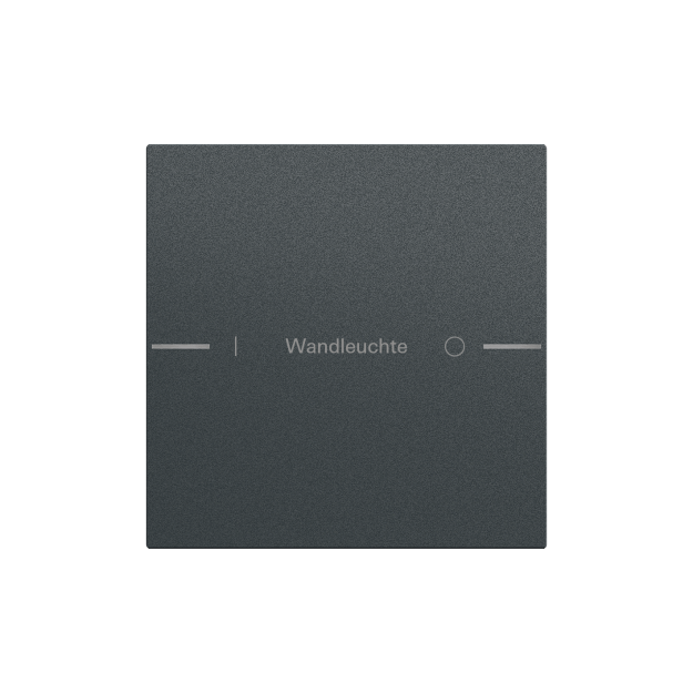 Gira 576173 Wippenset 1f individuell Tastsensor 4.70 Anthrazit