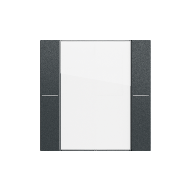 Gira 577173 Wippenset 1f BSF Tastsensor 4.70 Klar/Anthrazit