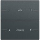 Gira 862273 Wippe Wippenset 2f individuell Tastsensor...