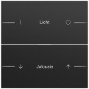 Gira 862274 Wippe Wippenset 2f individuell Tastsensor...