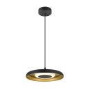 SLV 1010216 MOTUNA PD PHASE Pendelleuchte 2700 K 10 W...
