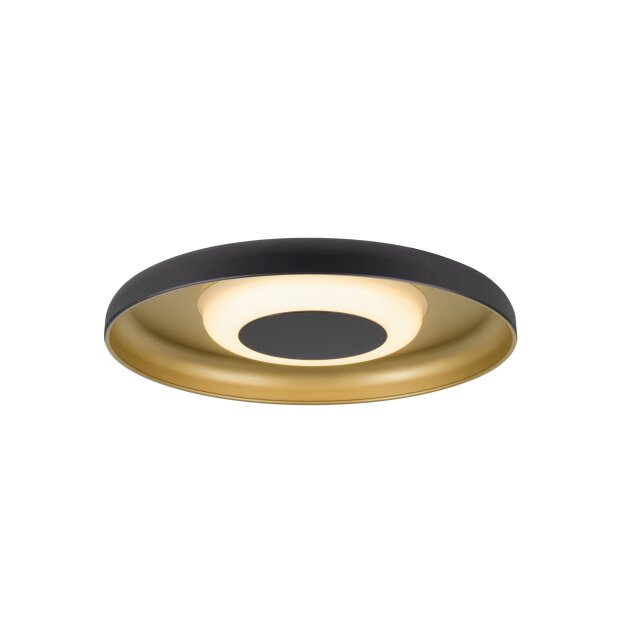 SLV 1010217 MOTUNA CW PHASE Wand- und Deckenaufbauleuchte rund 2700 K 10 W 130° Schwarz / Goldfarben