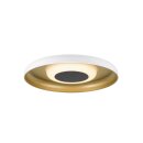 SLV 1010365 MOTUNA CW PHASE Wand- und Deckenaufbauleuchte...