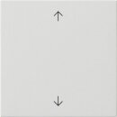 Exklusives Angebot: Gira 538903 Wippe 1-fach Pfeile...