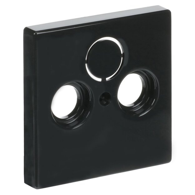 Exklusives Angebot: Busch-Jaeger 1743-81 Zentralscheibe als Abdeckung für handelsübliche Antennensteckdosen (Thermoplast) Anthrazit Busch-dynasty® 2CKA001724A4252 - nur für kurze Zeit!