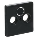 Exklusives Angebot: Busch-Jaeger 1743-81 Zentralscheibe...