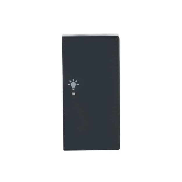 Exklusives Angebot: Busch-Jaeger 6231-22-81 Wippe 2-fach rechts, mit Symbol "Licht" (Thermoplast) Anthrazit 2CKA006220A0062 - nur für kurze Zeit!