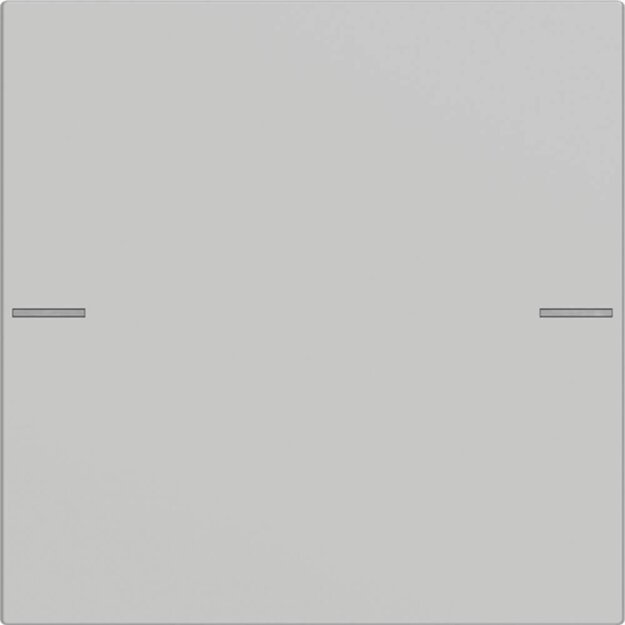 Exklusives Angebot: Gira 5751015 Wippenset 1-fach für Tastsensor 4 System 55 Grau matt - nur für kurze Zeit!